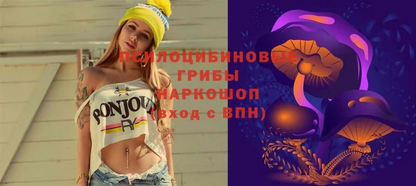 бутират Алзамай
