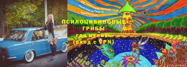 мескалин Алексин