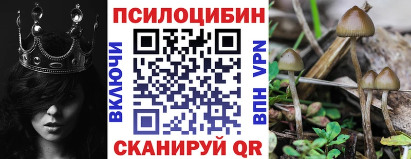 Галлюциногенные грибы мицелий Серпухов